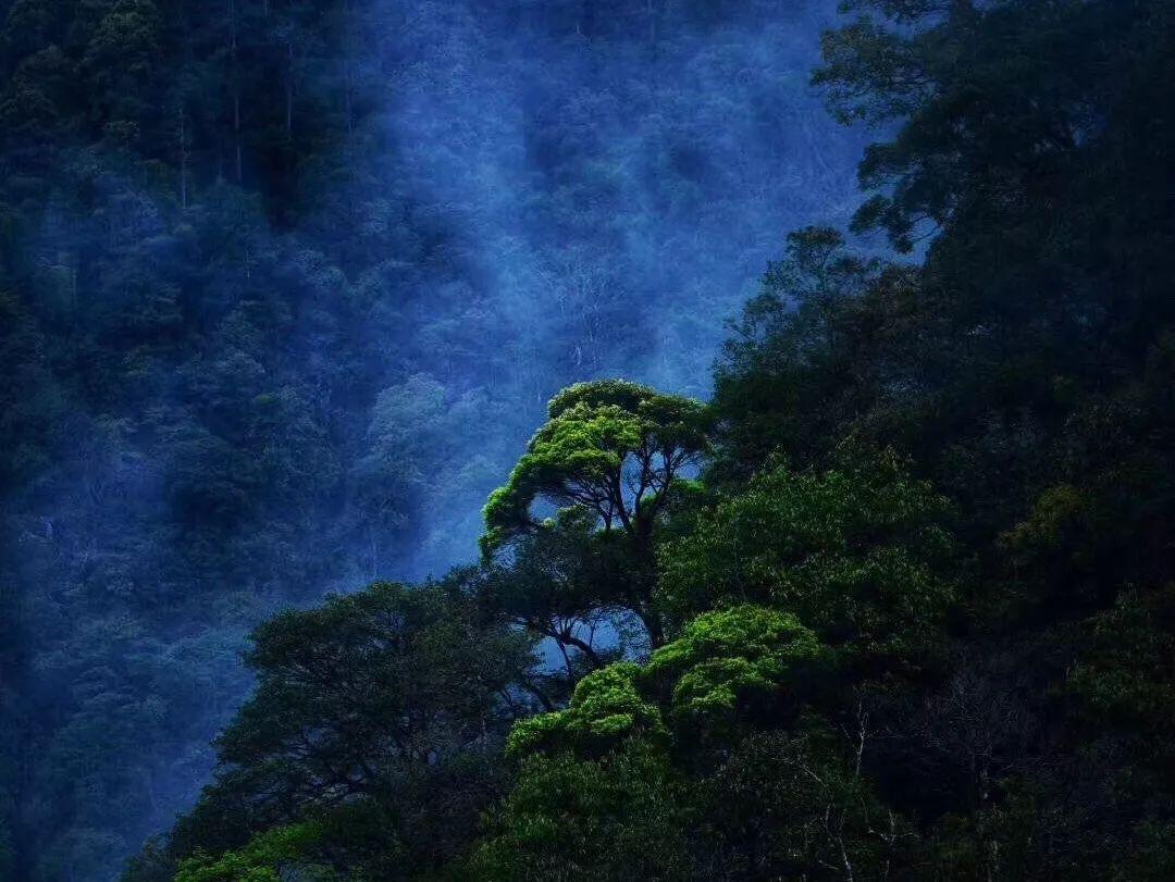 拯救红色方块